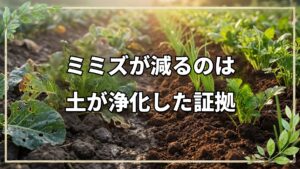 自然栽培でミミズが減る理由と害虫対策