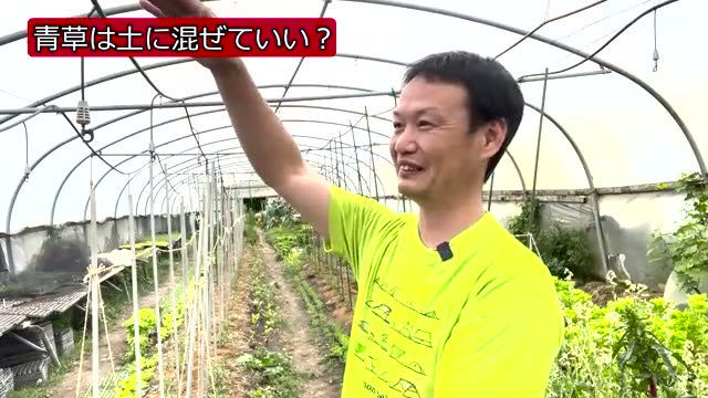 2. 刈った「青草」は土に混ぜ込んでも大丈夫?