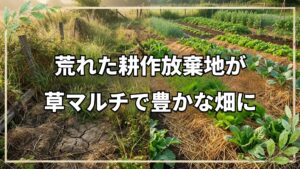 耕作放棄地から始める自然栽培の基本
