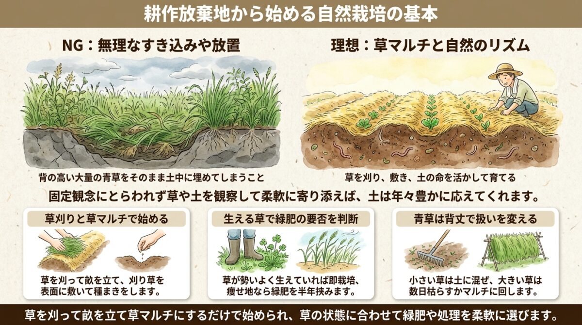耕作放棄地から始める自然栽培の基本