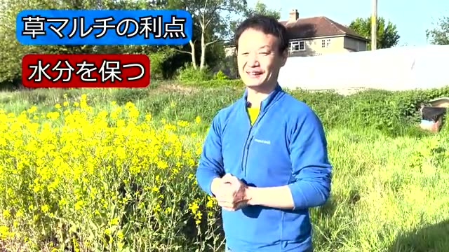 草マルチがもたらす4つの大きな利点