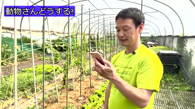 なぜ動物や鳥は自然農法の畑に集まるのか