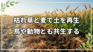 自然栽培の土改善と鳥獣害対策