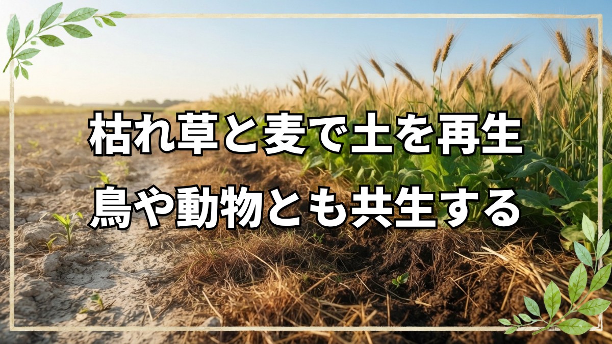 自然栽培の土改善と鳥獣害対策