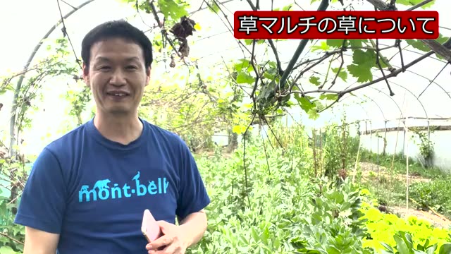 草マルチに使う草の選び方と注意点