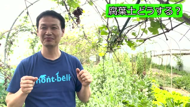 ホームセンターの腐葉土を使う際の注意点