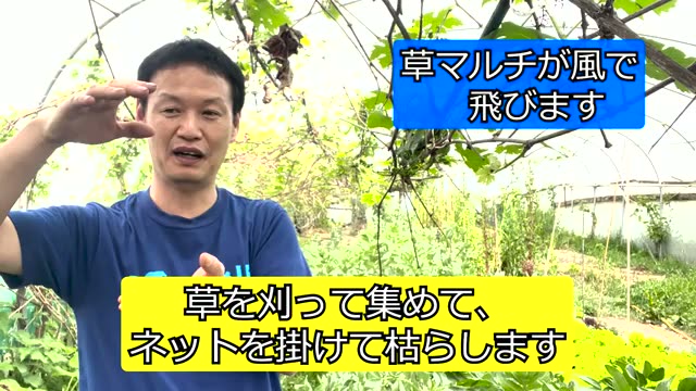 草が風で飛ぶときの対策とイノシシ除け