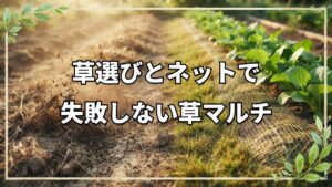 草マルチの草選びと風対策|自然栽培の実践Q&Aまとめ