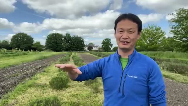 自然農法に適した畑を選ぶ「7つのチェックポイント」