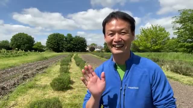 なぜ「畝（うね）」を立てるのか？土の呼吸と草マルチの相乗効果