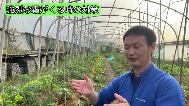 1. 晩霜対策と苗の管理｜育苗期と定植後の霜対策