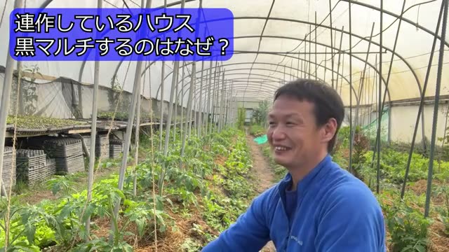 2. ハウスと露地で異なる「連作後の土の休ませ方」