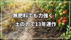 肥料も堆肥も使わず13年。土の力だけで育つ5月の畑とハウス栽培