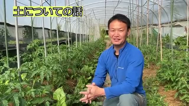 1. 「堆肥すら入れない」土だけの栽培とポット育苗の工夫