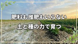 肥料も堆肥も不要!土と種の力