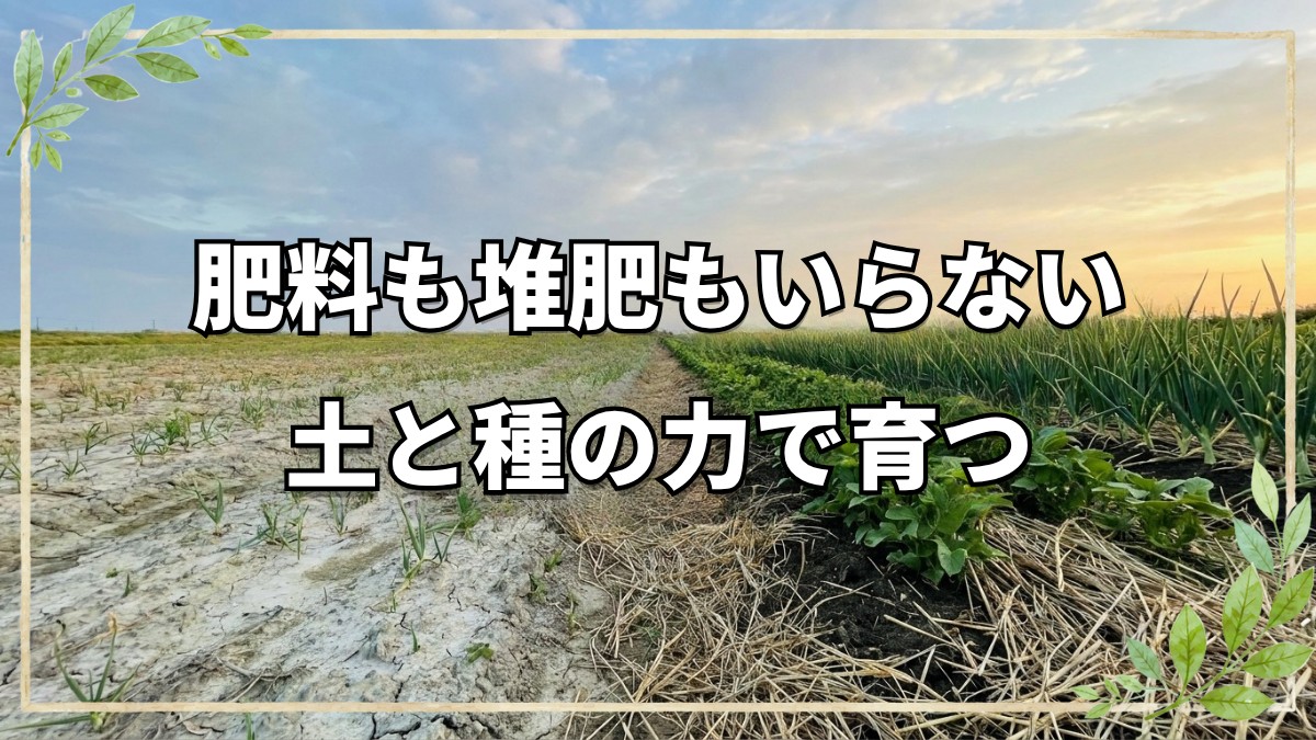 肥料も堆肥も不要！土と種の力