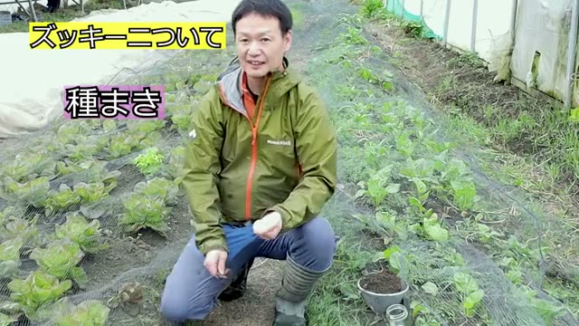 ポットへの種まき手順