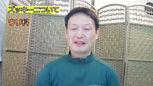 ズッキーニの特徴と栽培環境