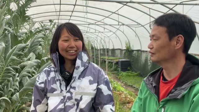 自然栽培でも「茎が太く、初期成育が早い」驚きの効果