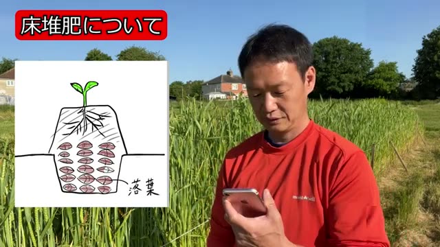 2. 厄介な「チガヤ」対策と土質の根本改善