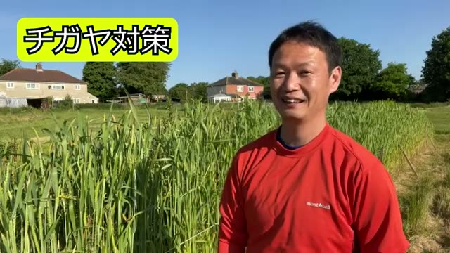 3. 自家採種は交配種(F1)でも可能?固定種との違い