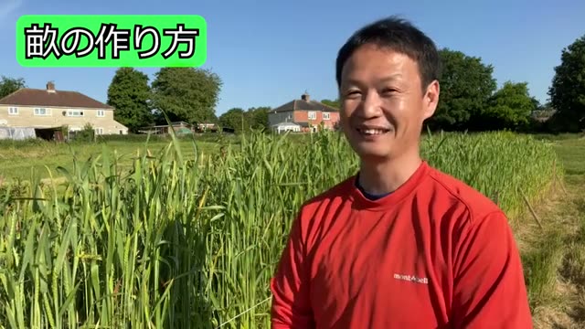 5. 草を生やしたままの畝立て手順と初期作物の選び方