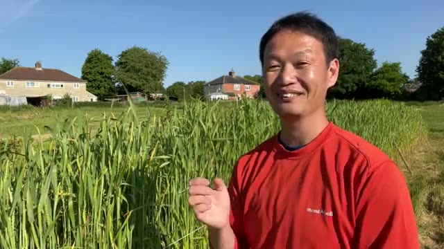 6. なぜ素手で作業するのか?土とつながる自然栽培の心構え