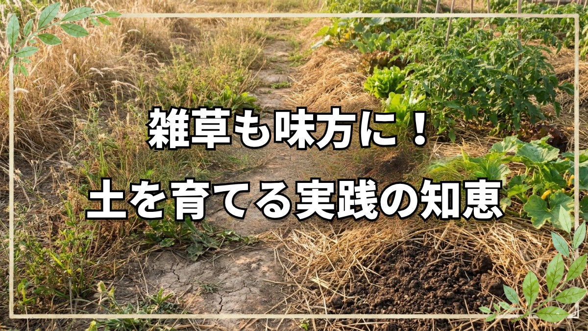 自然栽培の疑問を解決する実践の知恵