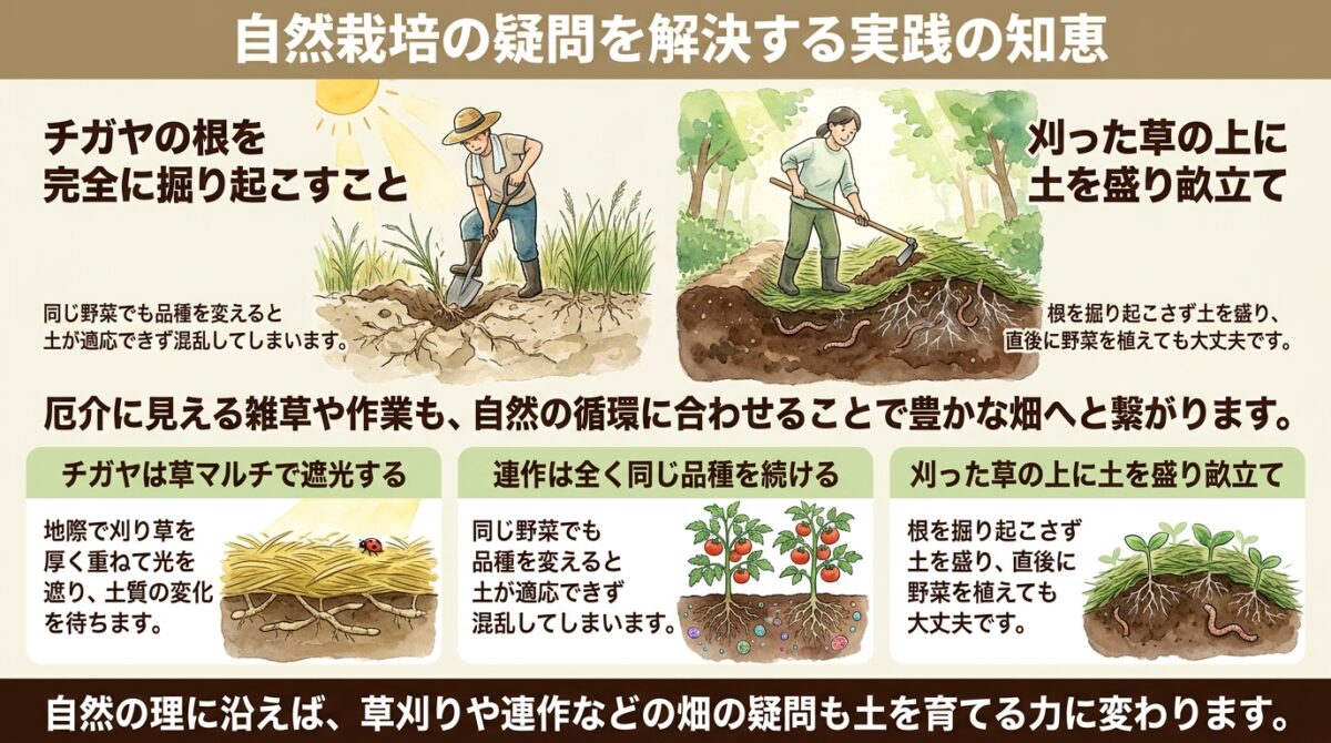 自然栽培の疑問を解決する実践の知恵