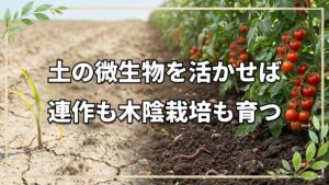 自然栽培の水やり・木陰栽培・連作の知恵