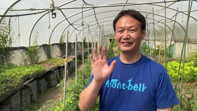 ナメクジと敵対しない心構え