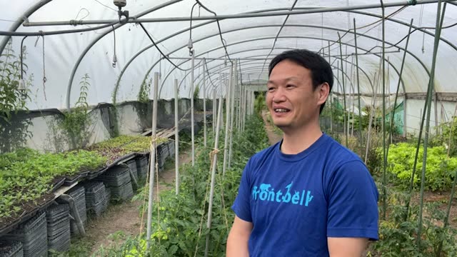 ナメクジの被害を抑える5つの実践的手法