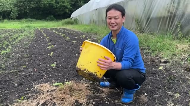 イギリスにおける深刻なナメクジ事情
