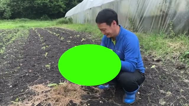 ナメクジが寄り付かない・食べられない不思議な畑