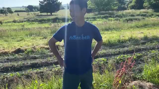 多彩な野菜の生育状況と手入れのポイント