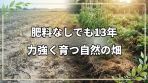 肥料・堆肥なしで13年。自然栽培の圃場に見る6月中旬の野菜と果樹の生育状況
