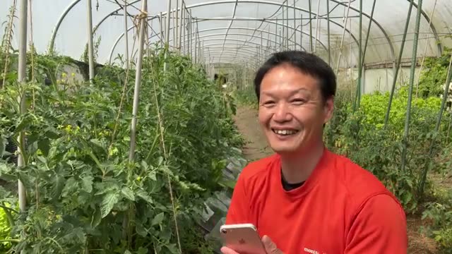 食糧危機と肥料・エネルギー価格高騰の背景