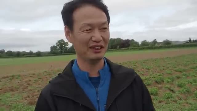 慣行農法の土をどうリセットするか？クローバーによる土壌の正常化