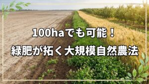 100ヘクタールの大規模自然農法