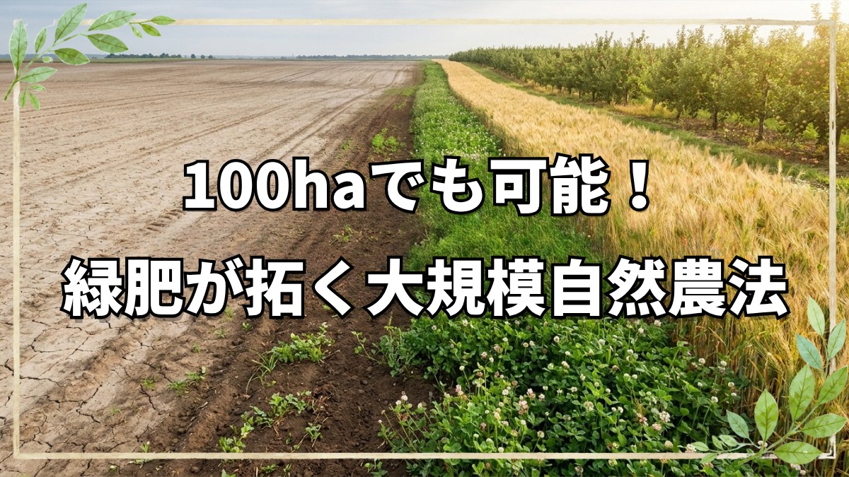 100ヘクタールの大規模自然農法