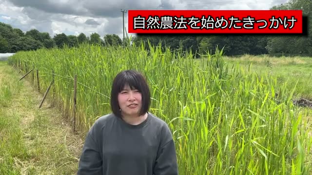 「緑の革命」がもたらした現実への衝撃