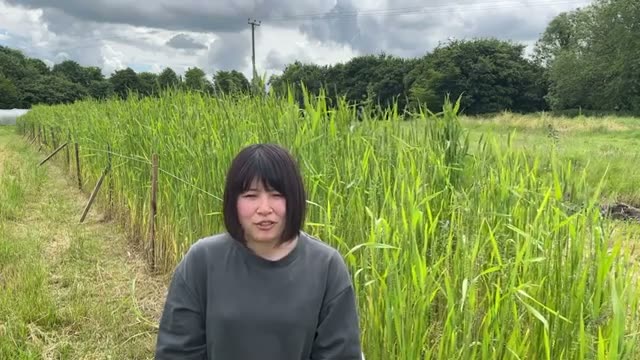 家庭菜園での感動から本格的な研修へ