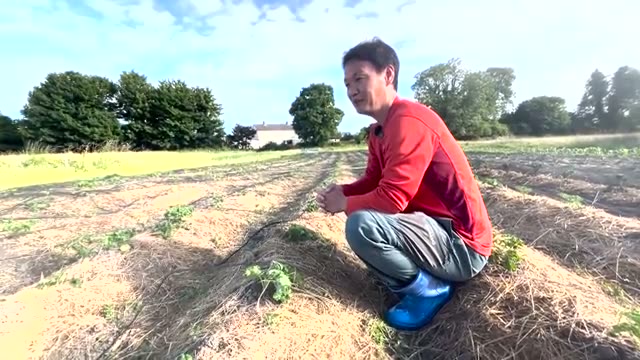 常識を覆す連作の力――「土が野菜の作り方を覚える」