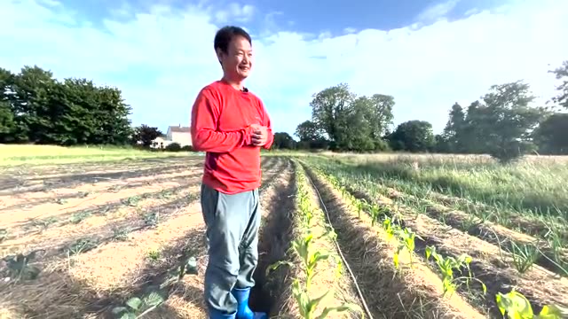 気候の壁を超える「自家採種」の威力