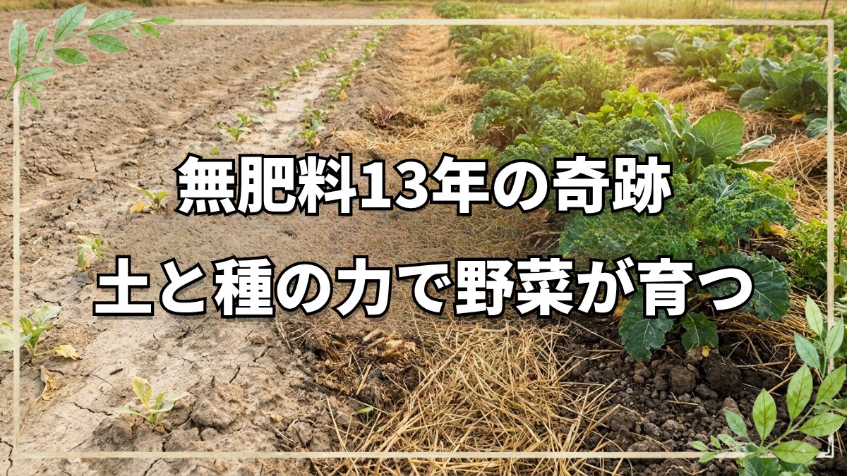 無肥料13年！土と種の力で野菜が育つ