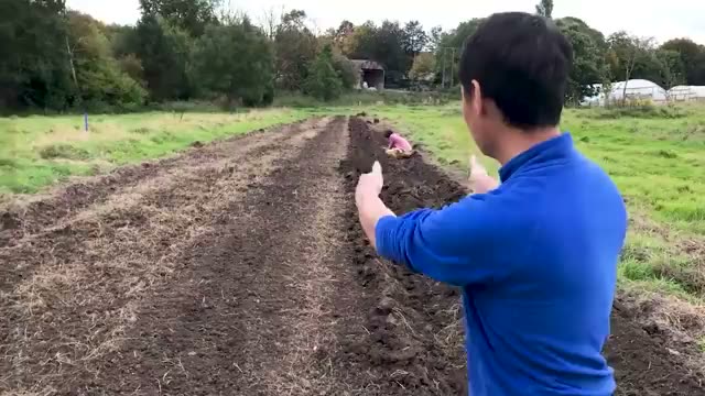 畝立てと植え付け前の下準備