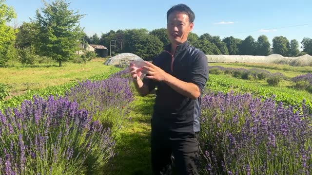 野菜ごとの向き不向きを観察して見極める