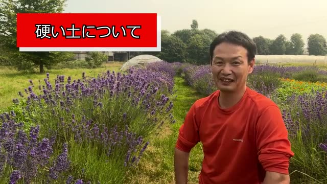 野菜づくりの極意は「土や野菜との信頼関係」