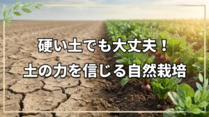 硬い土でも育つ自然栽培と心の繋がり