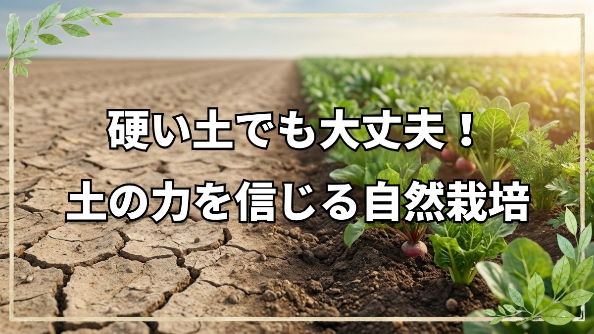 硬い土でも育つ自然栽培と心の繋がり